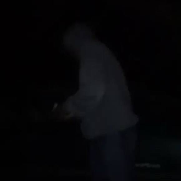 Meet your Posher, Timbo - Picture 1 of 1